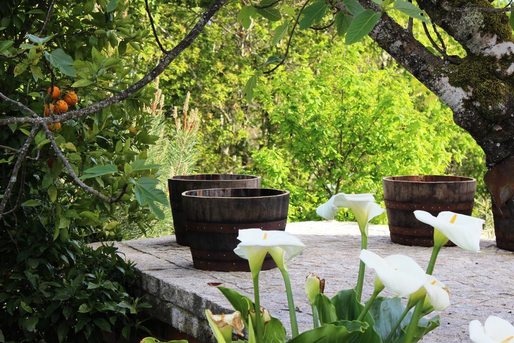 Villa Lugar Do Pego Tondela Ngoại thất bức ảnh